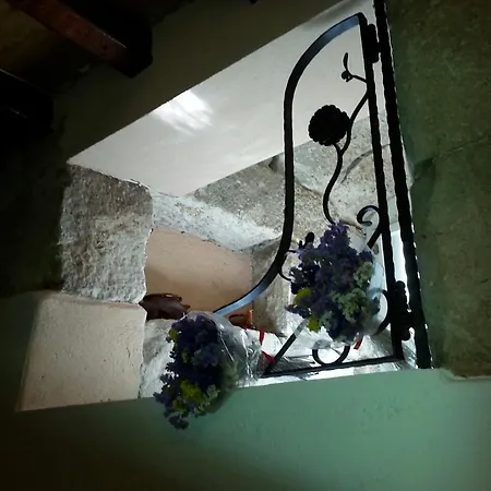 Penzion Dioklecian Wall